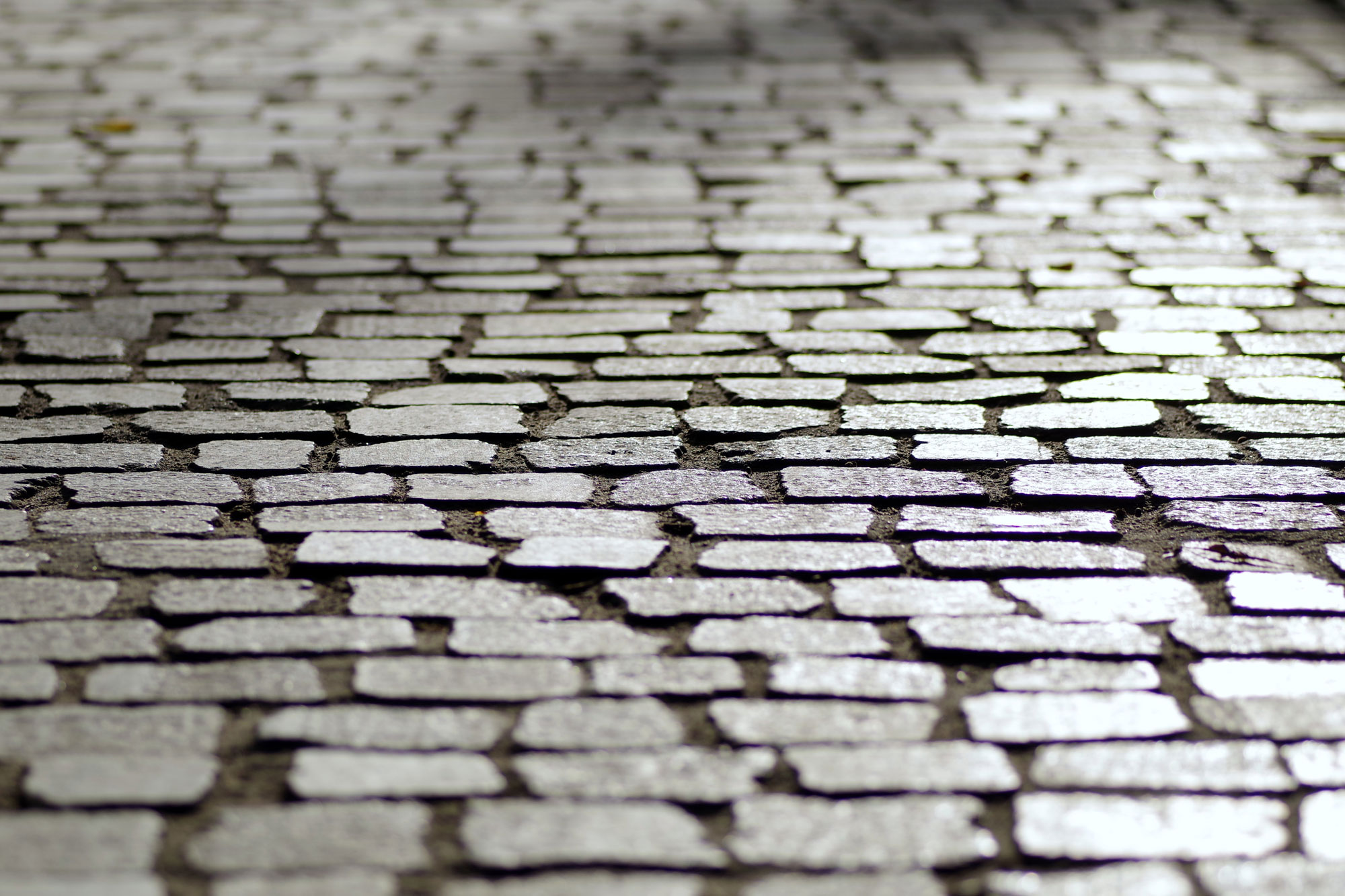 Custom landscaping and renovation planning by International Block Masters